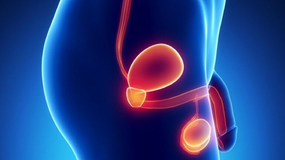 陰莖癌（陰莖癌）