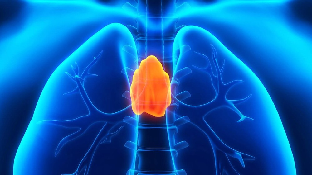 胸腺瘤(胸腺腫瘤) 1 胸腺瘤(胸腺腫瘤)